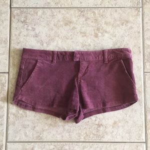 Burgundy Corduroy Volcom Shorts
